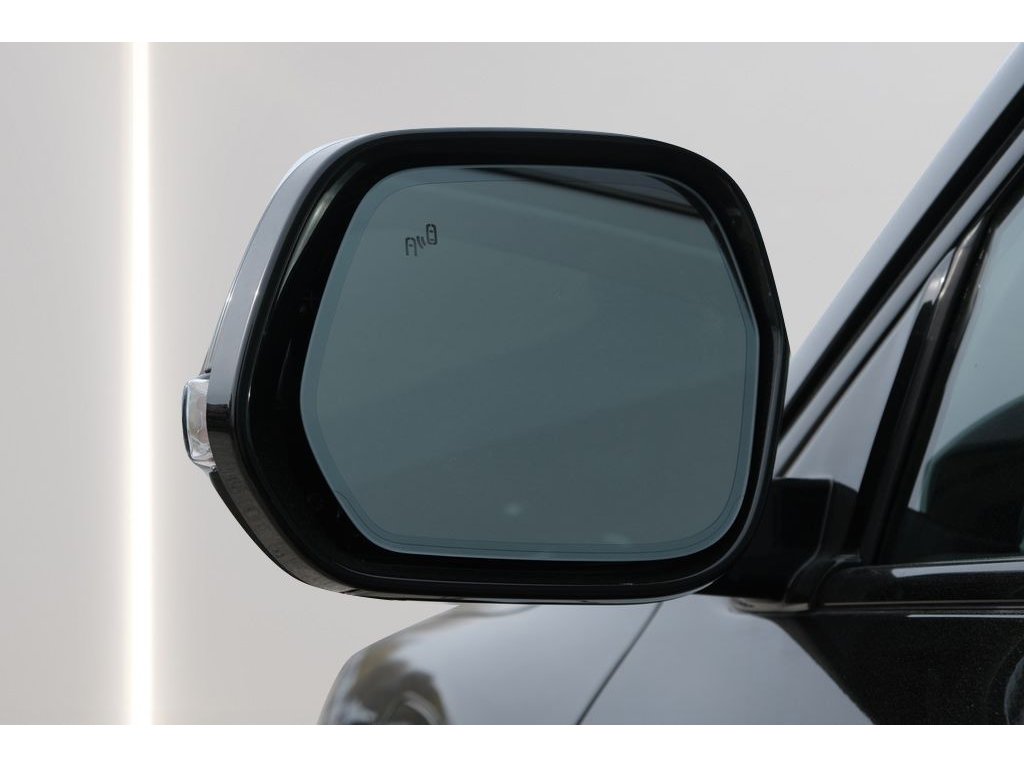 2024 VinFast VF 9 PLUS - Photo 7