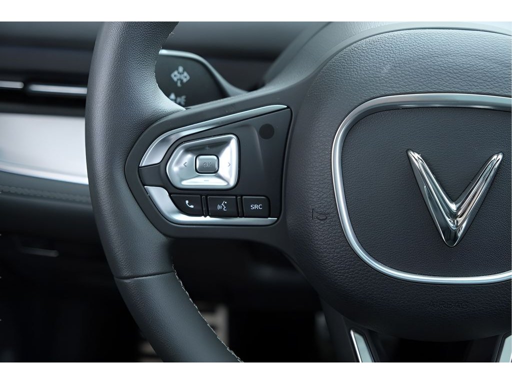 2024 VinFast VF 9 PLUS - Photo 11