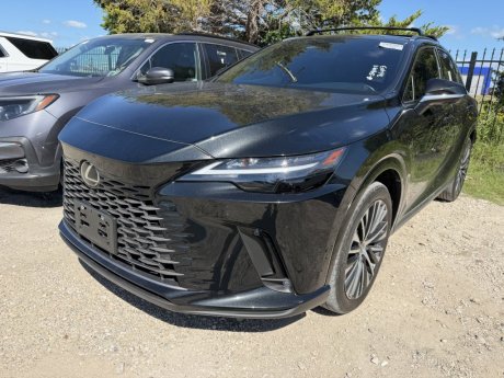 2024 Lexus RX RX 350 