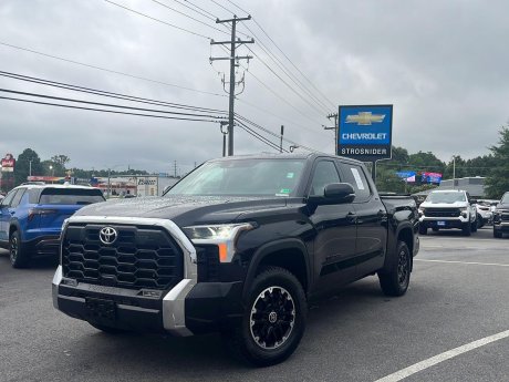 2023 Toyota Tundra 4WD SR5 
