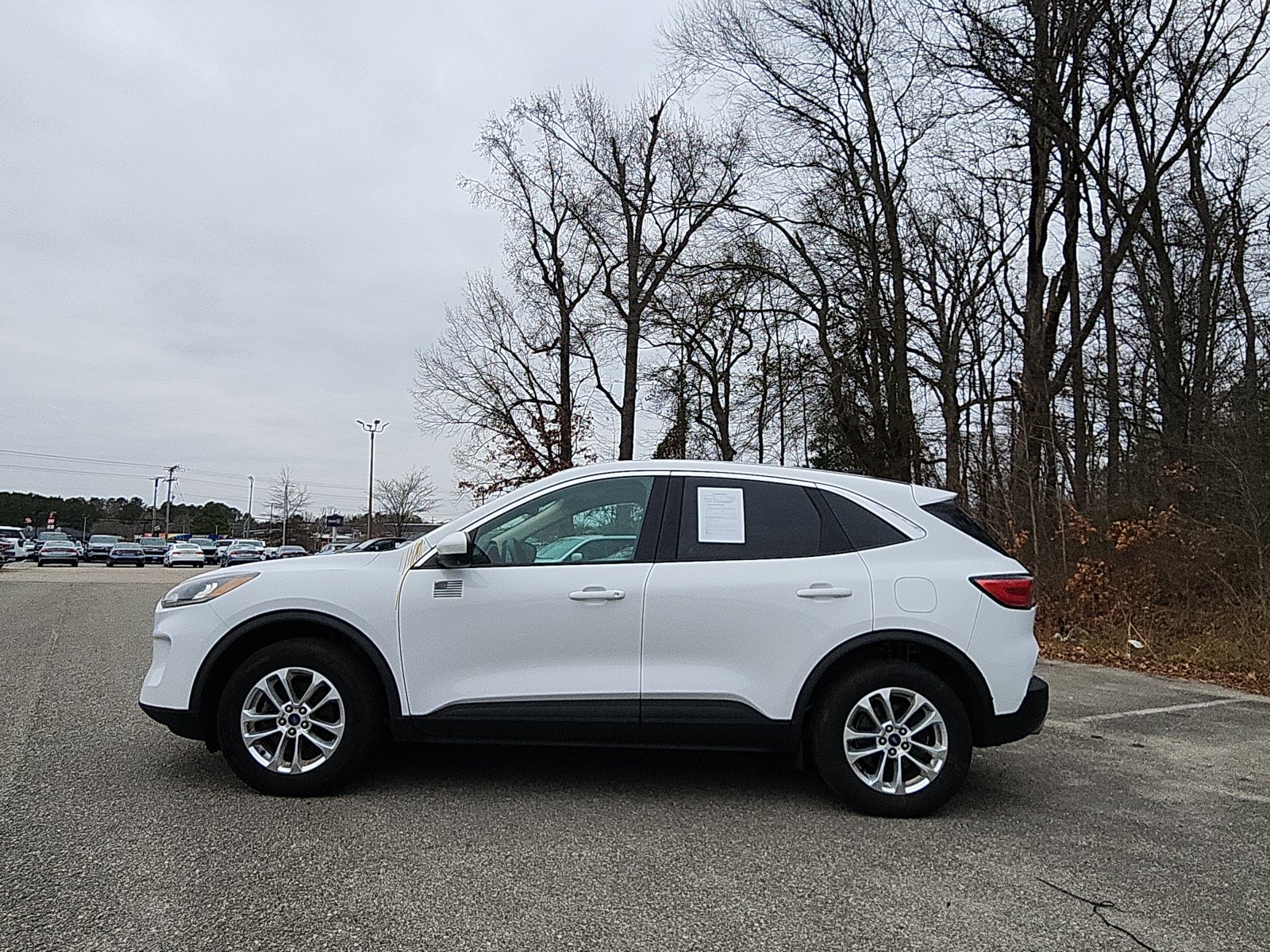 2020 Ford Escape SE's photo