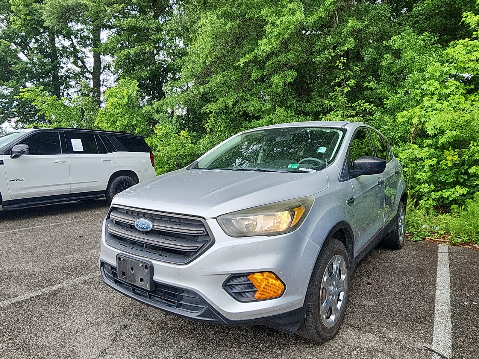 2019 Ford Escape S's photo