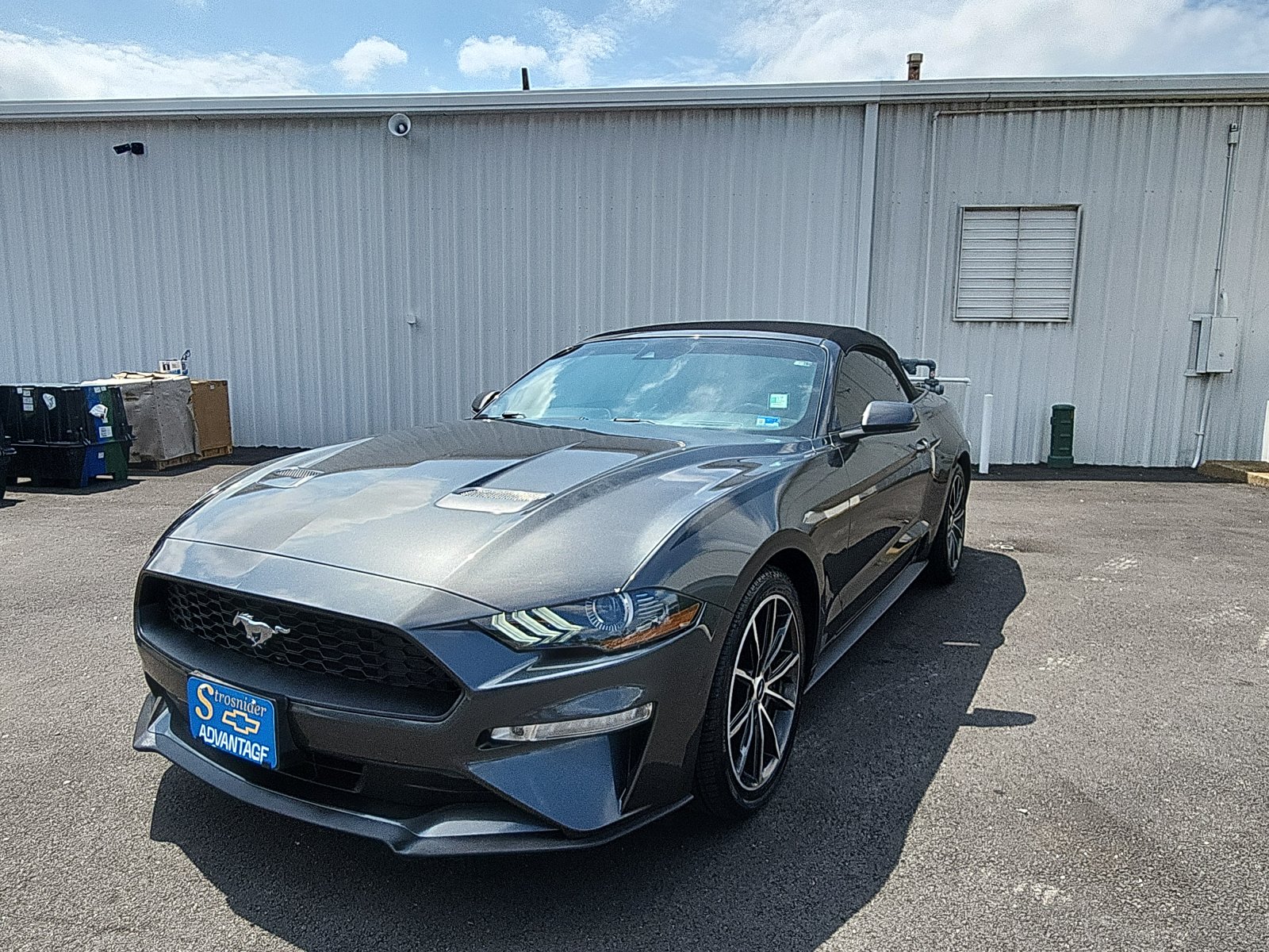 2019 Ford Mustang