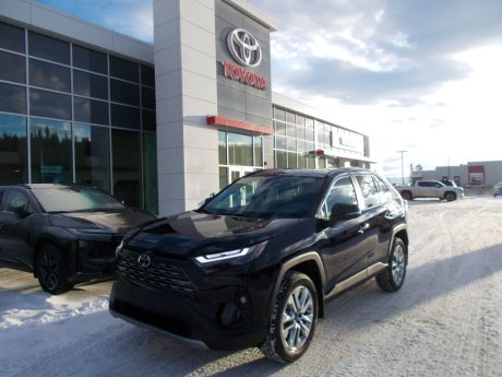 2025 Toyota RAV4 Limited